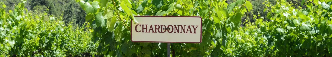 Vína Chardonnay