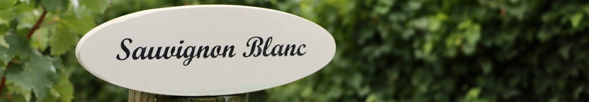Vína Sauvignon Blanc