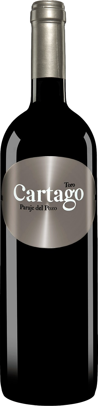 San Roman Cartago Paraje de Pozo Toro 2017 Červené 14.0% 0.75 l