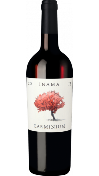 Bottle of Inama Carminium 2016 wine 750 ml