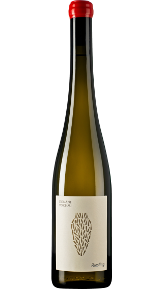 Bottle of Domane Wachau Riesling Amphora 2021 wine 750 ml