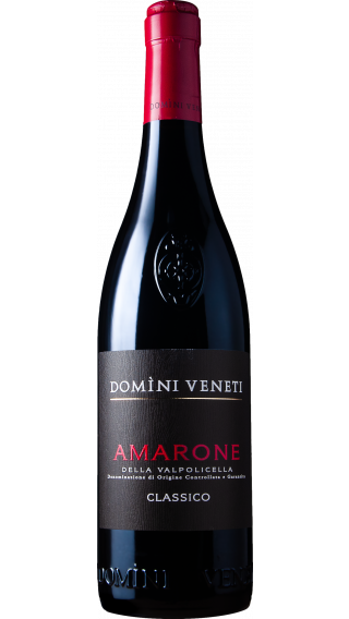 Bottle of Domini Veneti Amarone della Valpolicella Classico 2017 wine 750 ml