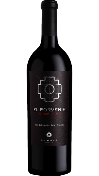 Bottle of El Porvenir de Cafayate Icono 2018 wine 750 ml