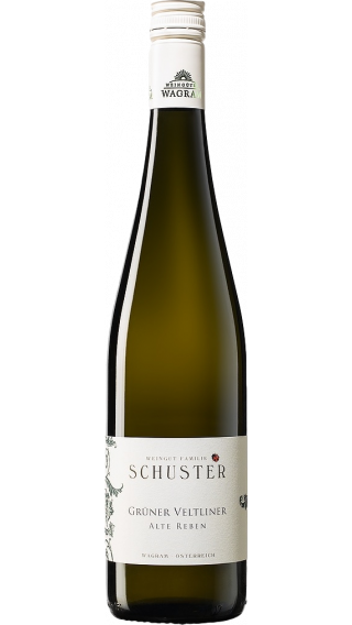 Bottle of Schuster Gruner Veltliner Alte Reben 2019 wine 750 ml