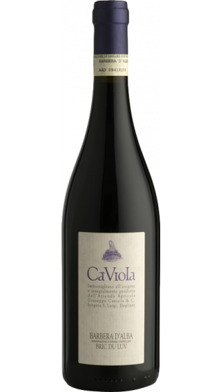 Bottle of Ca Viola Barbera d’Alba Bric du Luv 2014 wine 750 ml