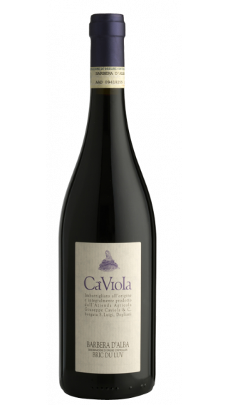 Bottle of Ca Viola Barbera d’Alba Bric du Luv 2016 wine 750 ml
