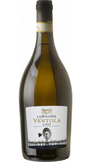 Bottle of La Bollina Gavi Ventola 2020 wine 750 ml