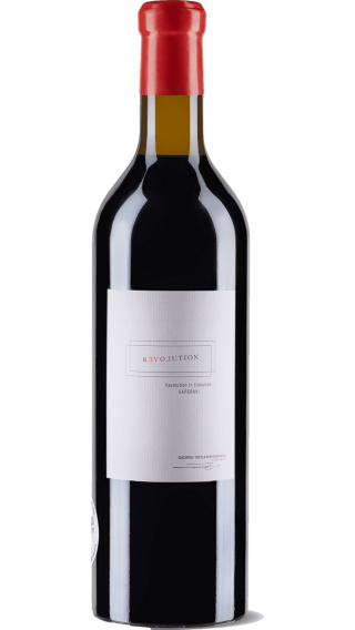 Bottle of Solomnishvili Saperavi Revolution 2017 wine 750 ml