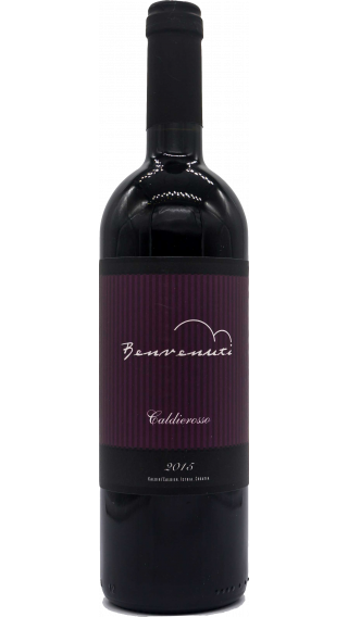 Bottle of Benvenuti Caldierosso 2015 wine 750 ml