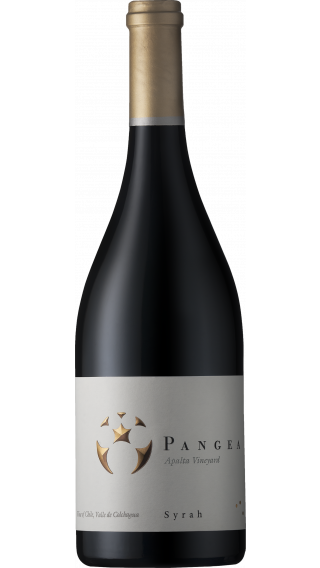 Bottle of Ventisquero Pangea Syrah 2014 wine 750 ml