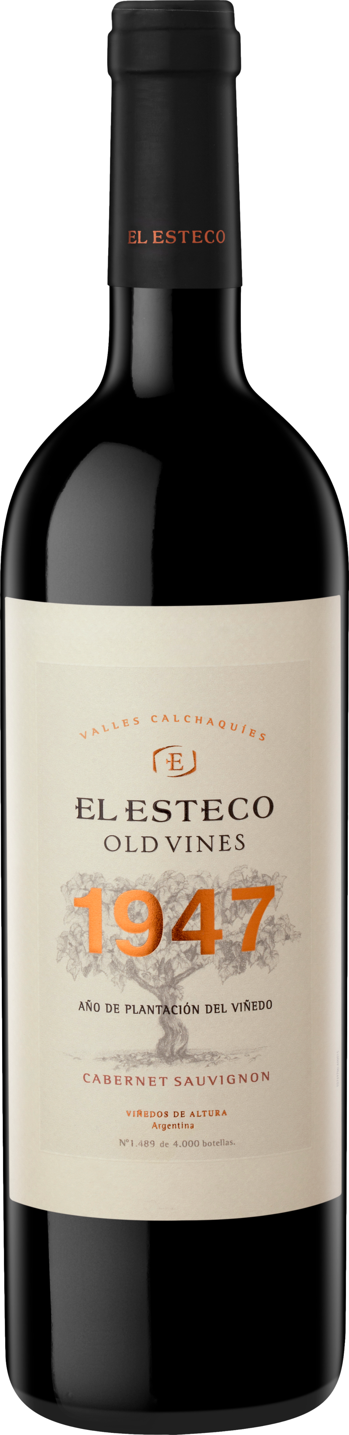 El Esteco Old Vines Cabernet Sauvignon 2019 Červené 14.5% 0.75 l